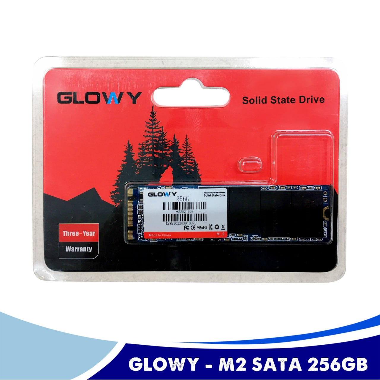 SSD M.2 Sata 256G GLOWAY Chính hãng