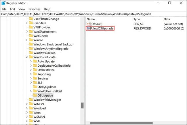 Đặt tên cho giá trị là AllowOSUpgrade
