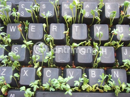Xem xét tuổi tác của máy tính