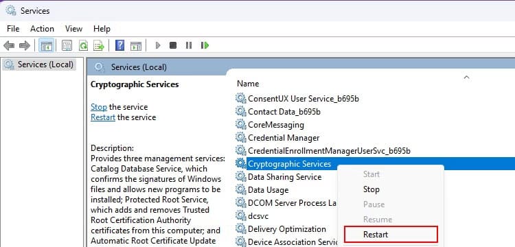 geforce-experience-co-van-de-khi-tim-game-windows-4 Windows Cryptographic Services