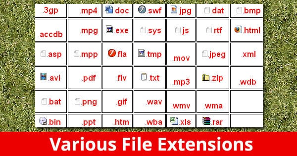 Đuôi của các file