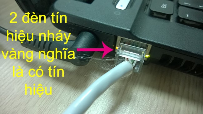 Rút dây mạng ra và cắm lại