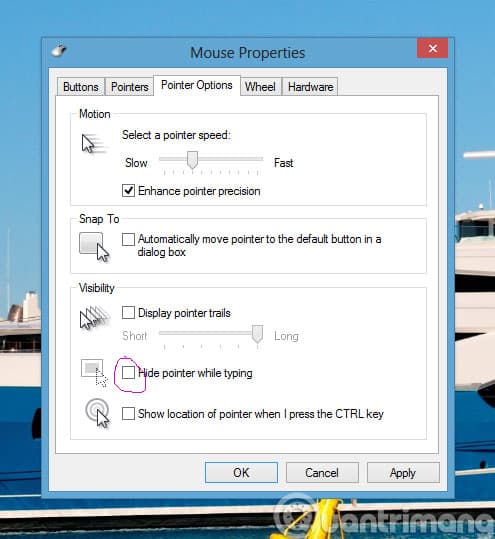 Hủy check ô Hide pointer while typing